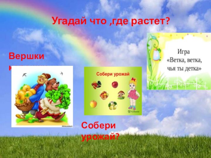 Угадай что ,где растет?Вершки корешкиСобери урожай?