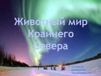 Презентация Животный мир Крайнего Севера презентация к занятию по окружающему миру (средняя группа)