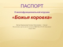 Многофункциональная игрушка Божья коровка презентация к уроку (младшая группа)