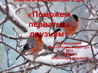 Экологическая акция в д/с Поможем пернатым друзьям презентация