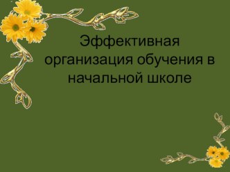 Эффективная организация обучения в начальной школе. презентация к уроку
