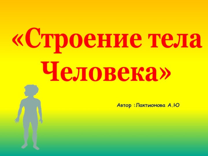 «Строение телаЧеловека» Автор :Лактионова А.Ю