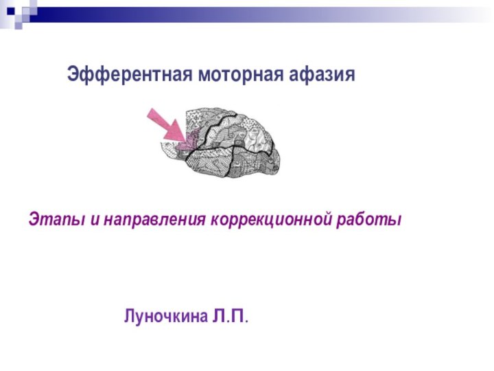 Эфферентная моторная афазияЭтапы и направления коррекционной работыЛуночкина Л.П.