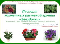Паспорт комнатных растений в группе Звездочки презентация к уроку (средняя группа)