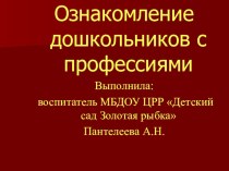 Дидактическая игра Профессии презентация к уроку (средняя группа)