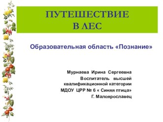 ПУТЕШЕСТВИЕ ПО ЛЕСУ (образовательная область-познание интеграция: коммуникация, социализация.) видеоурок по математике (подготовительная группа)