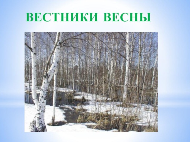 ВЕСТНИКИ ВЕСНЫ