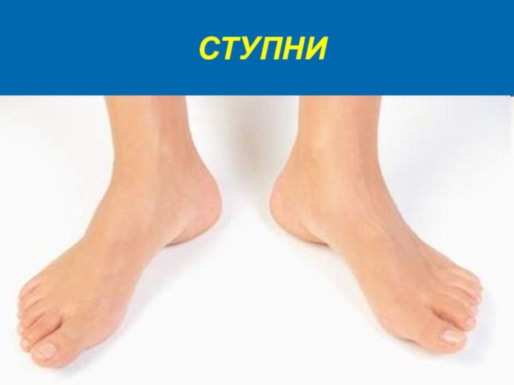 СТУПНИ