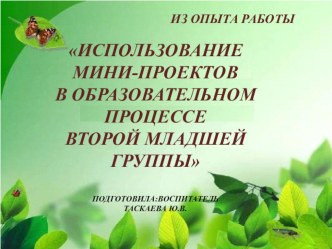 Мини-проект Моя игрушка презентация к уроку (младшая группа)