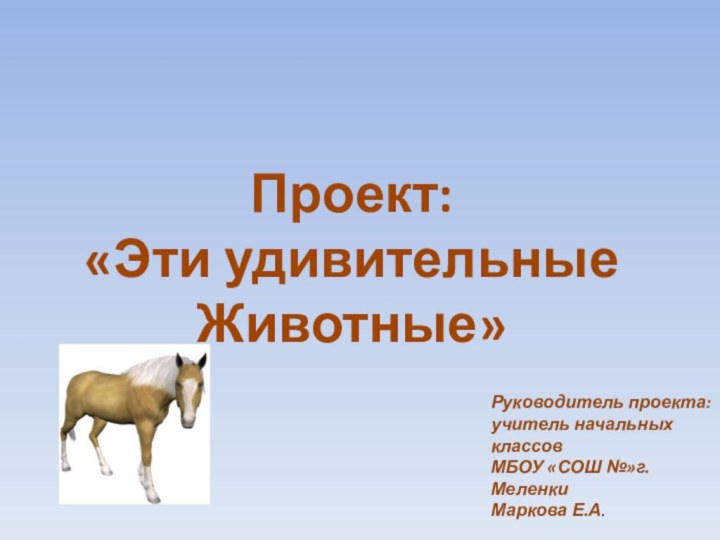 Проект: «Эти удивительные Животные»Руководитель проекта:учитель начальных классов МБОУ «СОШ №»г.МеленкиМаркова Е.А.