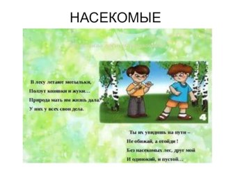 Презентация  Мир насекомых презентация к уроку по окружающему миру (средняя группа)