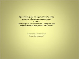 Фрагмент урока по окружающему миру по теме Домашние животные презентация к уроку (окружающий мир, 4 класс) по теме