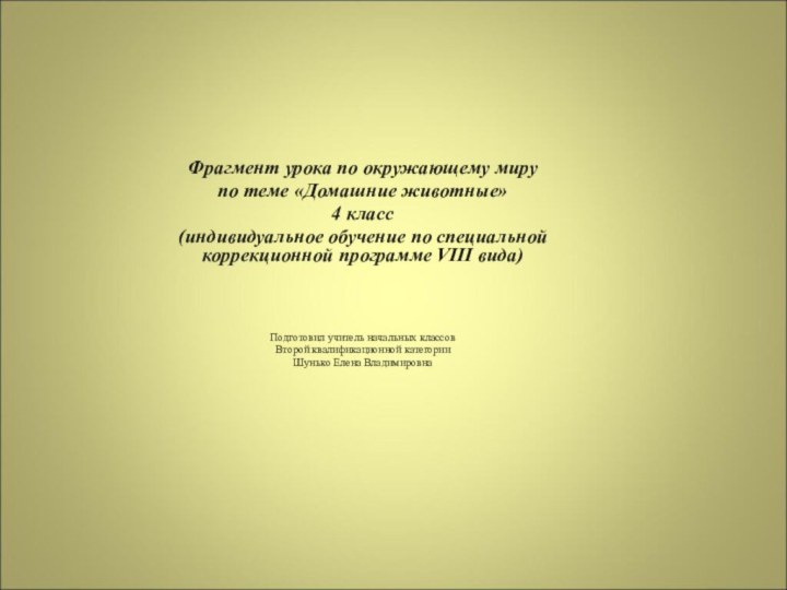 Фрагмент урока по окружающему миру по теме «Домашние животные»4 класс(индивидуальное обучение по