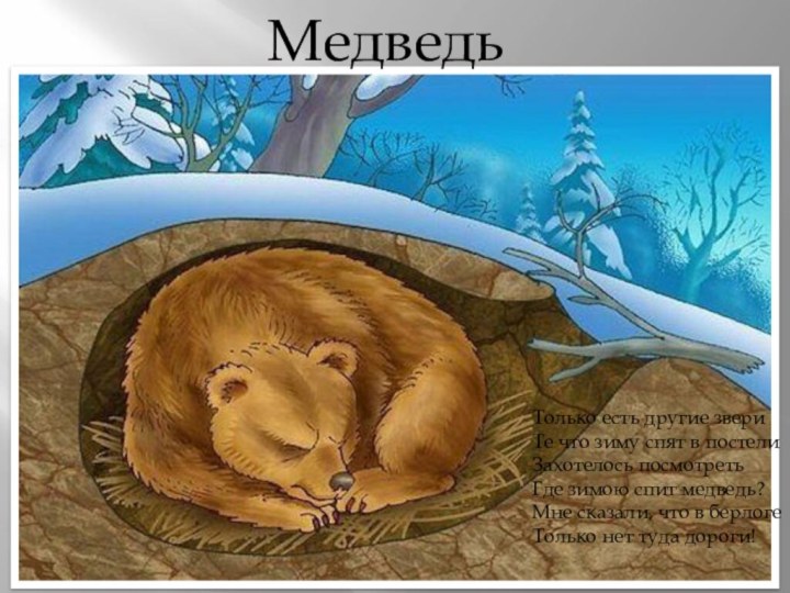 МедведьТолько есть другие звериТе что зиму спят в постелиЗахотелось посмотретьГде зимою спит