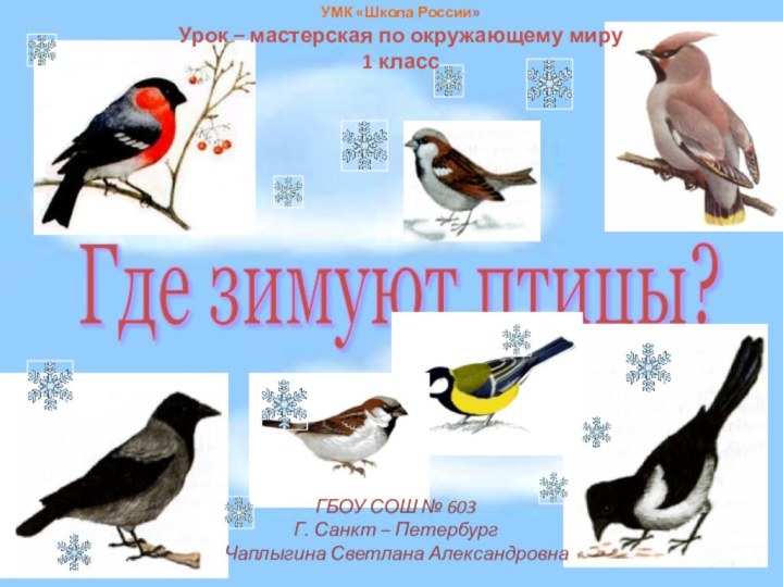 Где зимуют птицы? УМК «Школа России»Урок – мастерская по окружающему миру1 классГБОУ