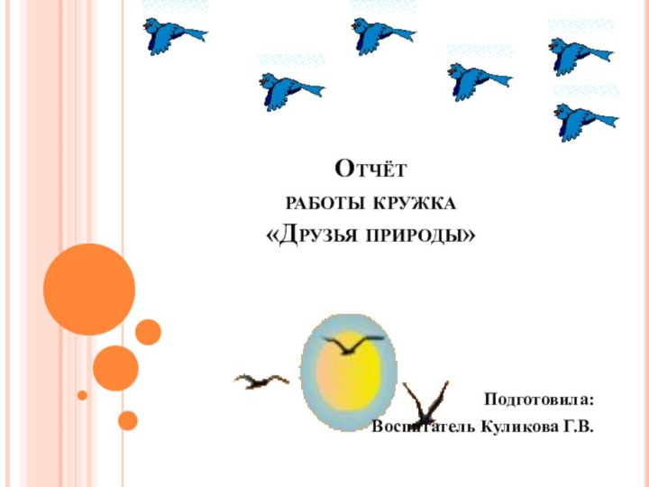 Отчёт  работы кружка  «Друзья природы»Подготовила:Воспитатель Куликова Г.В.