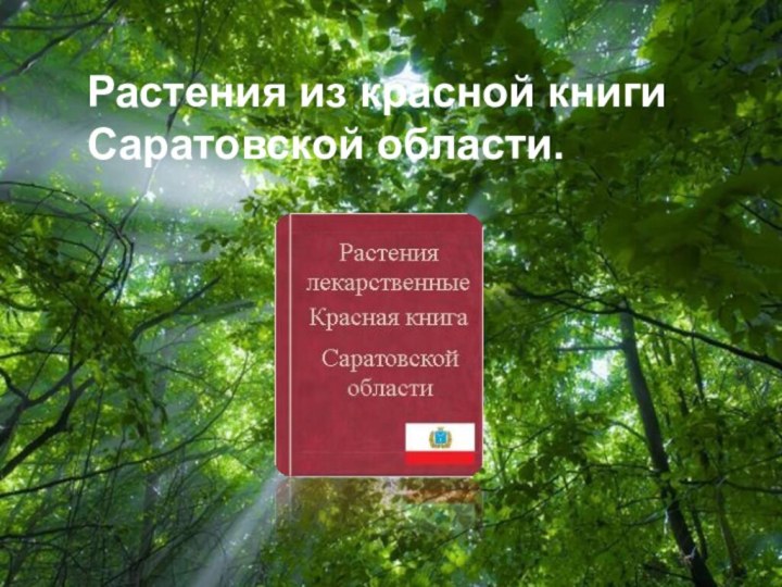 Free Powerpoint TemplatesРастения из красной книги Саратовской области.