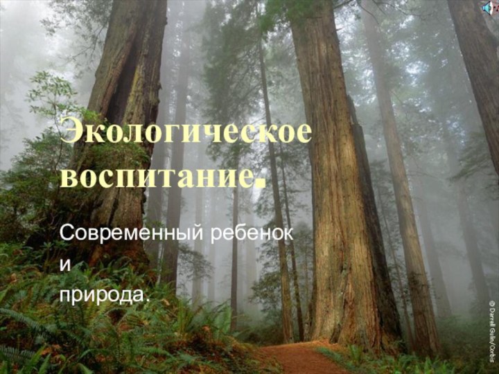 Экологическое воспитание.Современный ребенок и природа.