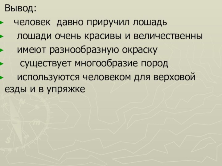 Вывод:  человек давно приручил лошадь  лошади очень красивы и величественны