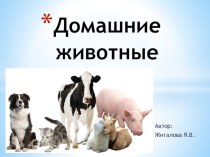 Домашние животные презентация к уроку (младшая группа)