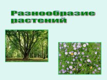 Презентация по теме Разнообразие растений по программе Школа России - 3 класс презентация к уроку по окружающему миру (3 класс)