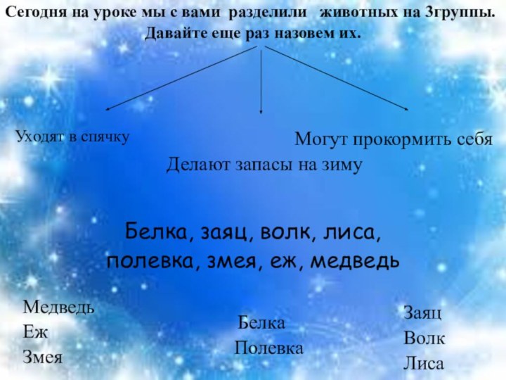 Сегодня на уроке мы с вами разделили  животных на 3группы. Давайте