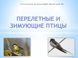 Презентация Зимующие, перелетные птицы презентация к уроку по окружающему миру (средняя группа)