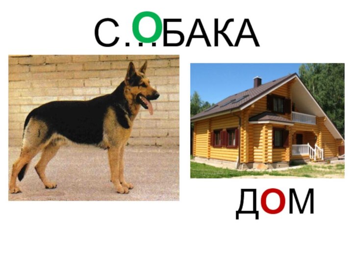 С…БАКАОДОМ