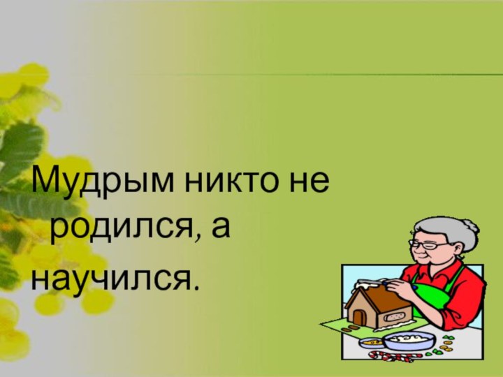 Мудрым никто не родился, а научился.