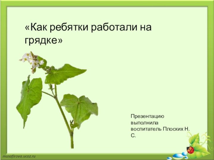 «Как ребятки работали на грядке»Презентацию выполнила воспитатель Плоских Н.С.