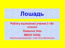 Исследователькая работа проект: Лошадь проект (3 класс) по теме