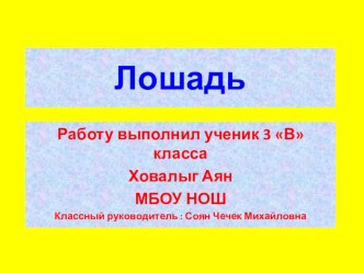 Исследователькая работа проект: Лошадь проект (3 класс) по теме