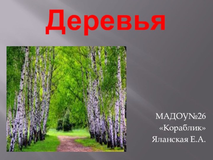 Деревья МАДОУ№26«Кораблик»Яланская Е.А.