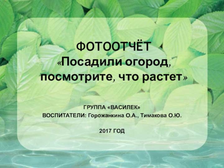 ФОТООТЧЁТ  «Посадили огород, посмотрите, что растет»ГРУППА «ВАСИЛЕК» ВОСПИТАТЕЛИ: Горожанкина О.А., Тимакова О.Ю.2017 ГОД