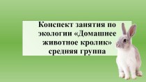 Конспект занятия по экологии. Домашнее животное Кролик презентация к уроку по окружающему миру (средняя группа)