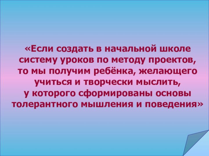 «Если создать в начальной школе систему уроков по методу проектов, то мы