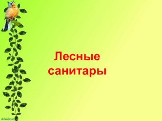 Презентация Лесные санитары презентация к уроку по окружающему миру (старшая группа) по теме