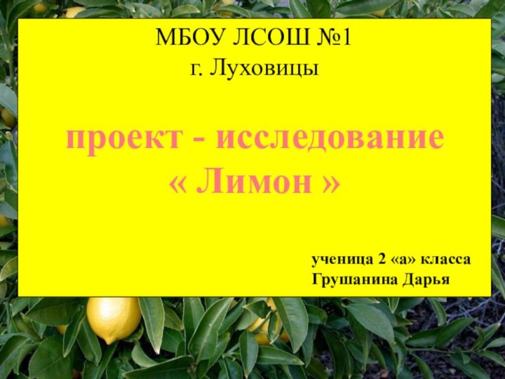 МБОУ ЛСОШ №1  г. Луховицы проект - исследование« Лимон »