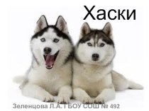 Презентация Хаски презентация к уроку по окружающему миру (2 класс)