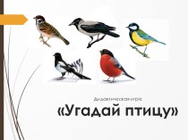 Игра Угадай птицу презентация по окружающему миру