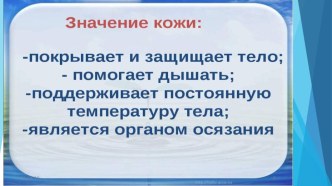 Учебно-методический комплект по окружающему миру Самый большой орган чувств. Кожа., 4 класс, ПНШ учебно-методический материал по окружающему миру (4 класс)