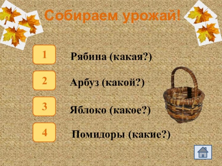 Собираем урожай! Рябина (какая?) 1234Арбуз (какой?) Помидоры (какие?) Яблоко (какое?)