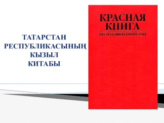 Кызыл китап дәрес презентациясе презентация к занятию по развитию речи (подготовительная группа) по теме