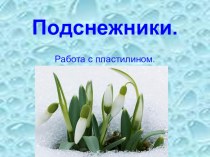 Поделка из пластилина Подснежники презентация к уроку технологии (1 класс) по теме