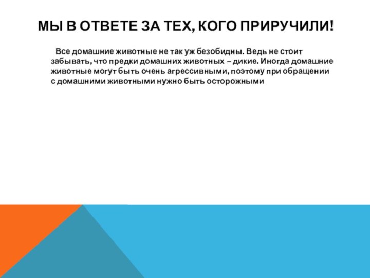 Мы в ответе за тех, кого приручили!	Все домашние животные не так уж