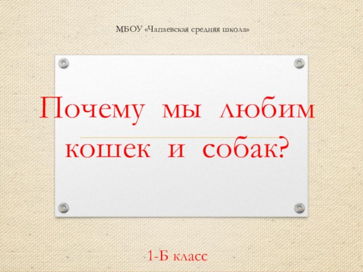 Почему мы любим кошек и собак?