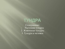 Тундра презентация урока для интерактивной доски по окружающему миру (4 класс) по теме