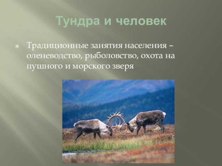 Тундра и человекТрадиционные занятия населения – оленеводство, рыболовство, охота на пушного и морского зверя