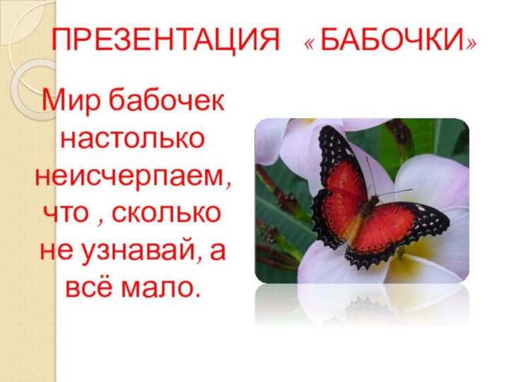 Презентация  « Бабочки»Мир бабочек настолько неисчерпаем, что , сколько не узнавай,