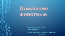 Презентация для детей по разделу окружающий мир  Домашние животные презентация к уроку по окружающему миру (младшая группа)